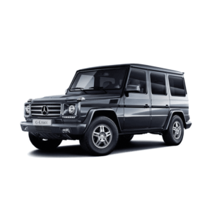 Кузовные детали Mercedes Mercedes G-klasse